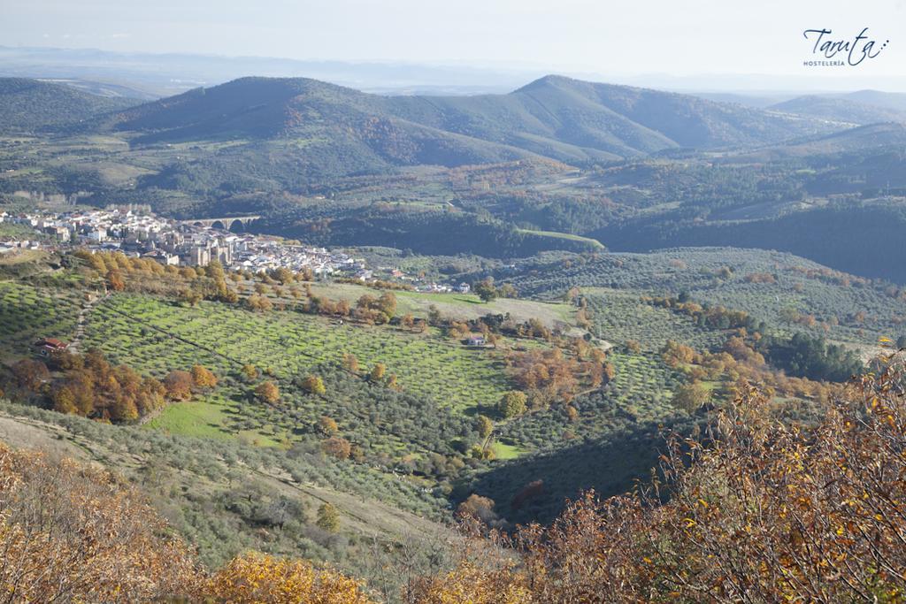Hostal Alba Taruta Guadalupe  Kültér fotó